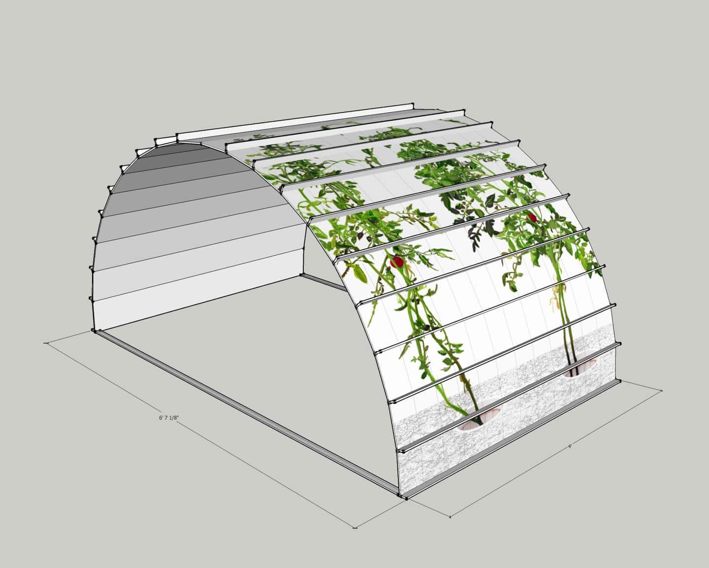 Alex Fischer,  1, 7 and 6000 elements mockup